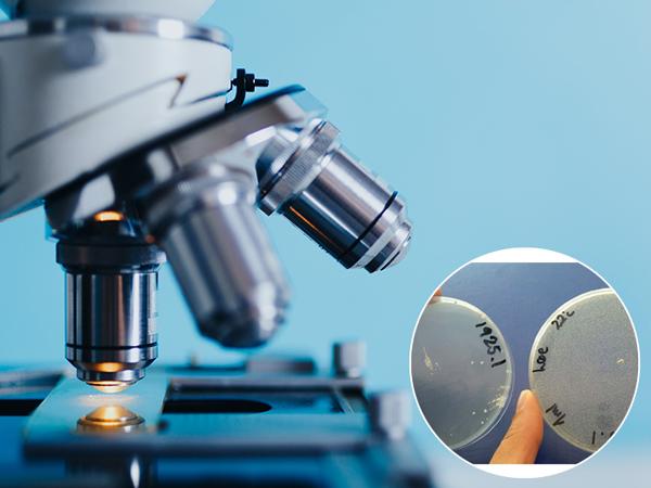 Probiotikumok a bőrápolásban